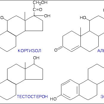 Химический анализ стероидов